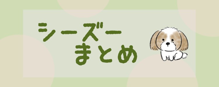 気品に満ちたシーズー